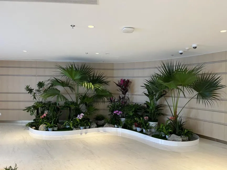 别错过！北仑绿化养护，实惠价打造美丽家园！